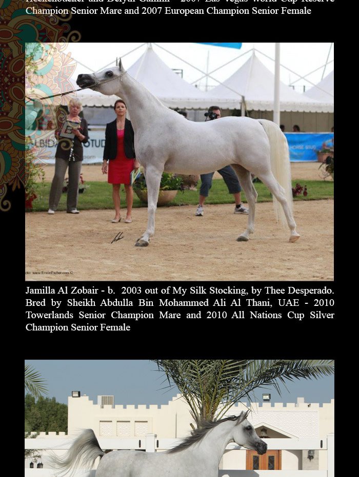 The Daughters of... Ashhal Al Rayyan