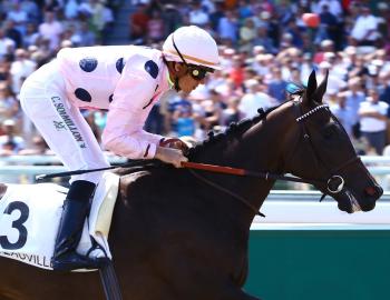 Vente de l'Arc, 1er octobre 2016, Chantilly, TOULIFAUT