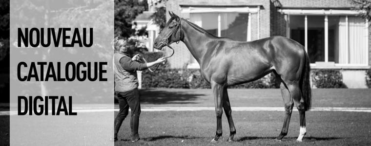 Vente ARQANA de l'Arc de Triomphe 2016 - catalogue de la vente sur votre tablette.