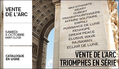 Vente de l'Arc de Triomphe 2015