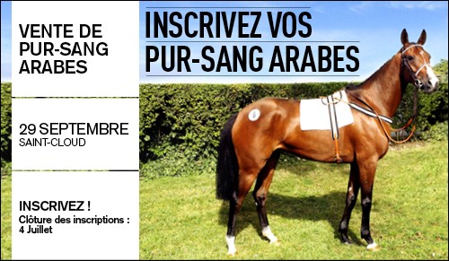 Ventes ARQANA de pur sang arabes: propritaires attention !!  les inscriptions pour la vente aux enchres du 29 septembre 2016  Saint-Cloud sont ouvertes jusqu'au 4 juillet 2016.