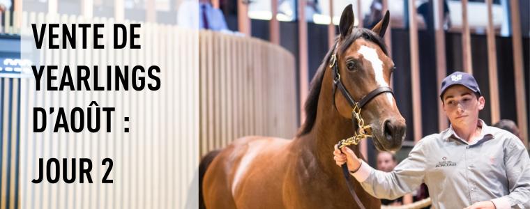 Les millions pleuvent sur les ventes aux enchres ARQANA des yearlings d'aot  Deauville