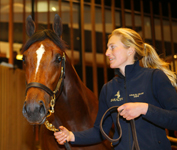 Vente de Yearlings d'Octobre, 20 Octobre 2015, Deauville