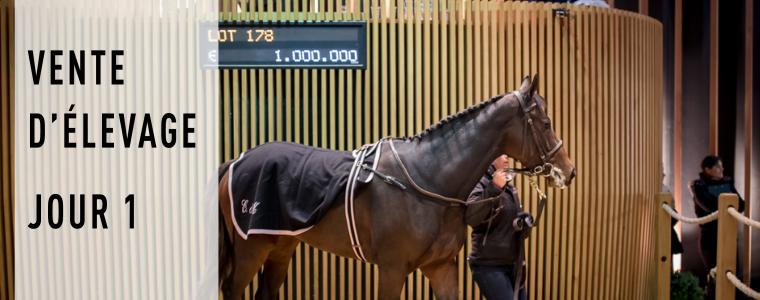 ARQANA - 1 million d'Euros pour la gagnante de Gr.2 PARVANEH adjuge  James Delahooke.