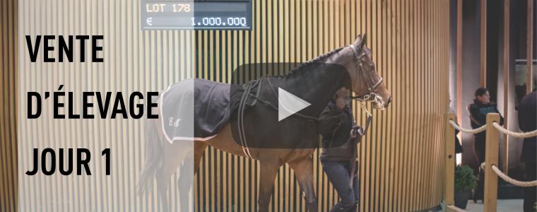 ARQANA - Revivez les temps forts du 1er jour de la Vente d'levage 2016.