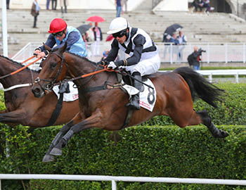 La Vente d'Été 2016 ARQANA - CEPAGE