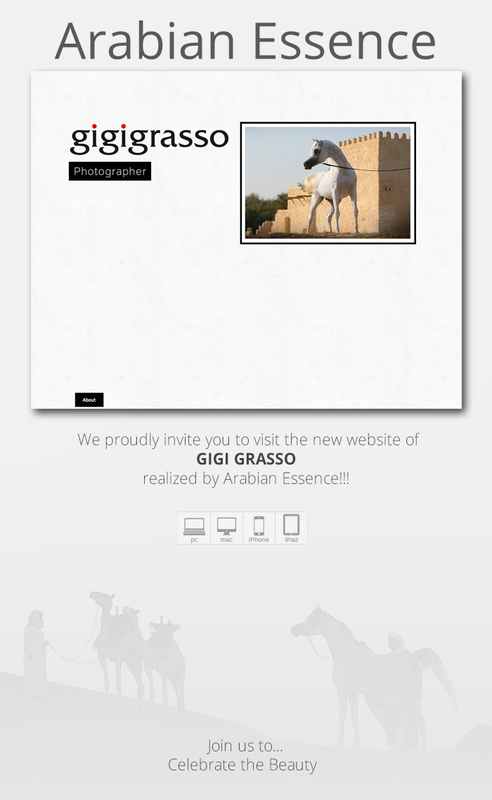 Arabian Essence - Gigi Grasso - Photographer