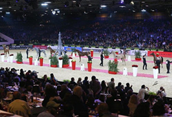 Championnat du Monde du Cheval Arabe 2015