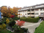 Picture 1